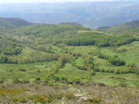 photo coins arrondis